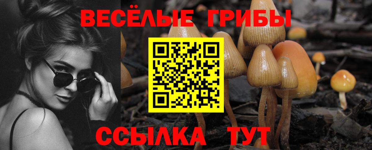 даркнет сайт  Псилоцибиновые грибы Psilocybine cubensis  Ессентуки  Вход с VPN  Псилоцибиновые грибы Cubensis 